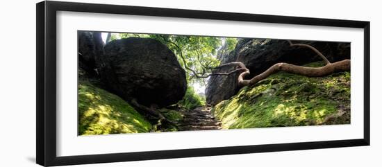 China 10MKm2 Collection - Forest ray of light-Philippe Hugonnard-Framed Photographic Print