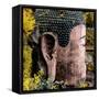 China 10MKm2 Collection - Giant Buddha of Leshan in Autumn-Philippe Hugonnard-Framed Stretched Canvas