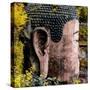 China 10MKm2 Collection - Giant Buddha of Leshan in Autumn-Philippe Hugonnard-Stretched Canvas