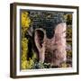 China 10MKm2 Collection - Giant Buddha of Leshan in Autumn-Philippe Hugonnard-Framed Photographic Print