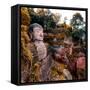 China 10MKm2 Collection - Giant Buddha of Leshan in Autumn-Philippe Hugonnard-Framed Stretched Canvas