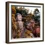 China 10MKm2 Collection - Giant Buddha of Leshan in Autumn-Philippe Hugonnard-Framed Photographic Print