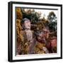 China 10MKm2 Collection - Giant Buddha of Leshan in Autumn-Philippe Hugonnard-Framed Photographic Print