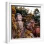 China 10MKm2 Collection - Giant Buddha of Leshan in Autumn-Philippe Hugonnard-Framed Photographic Print