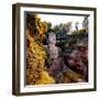 China 10MKm2 Collection - Giant Buddha of Leshan in Autumn-Philippe Hugonnard-Framed Photographic Print