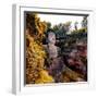 China 10MKm2 Collection - Giant Buddha of Leshan in Autumn-Philippe Hugonnard-Framed Photographic Print