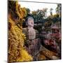 China 10MKm2 Collection - Giant Buddha of Leshan in Autumn-Philippe Hugonnard-Mounted Photographic Print