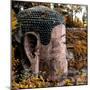 China 10MKm2 Collection - Giant Buddha of Leshan in Autumn-Philippe Hugonnard-Mounted Photographic Print