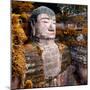 China 10MKm2 Collection - Giant Buddha of Leshan in Autumn-Philippe Hugonnard-Mounted Photographic Print