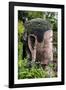 China 10MKm2 Collection - Giant Buddha of Leshan-Philippe Hugonnard-Framed Photographic Print