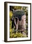 China 10MKm2 Collection - Giant Buddha of Leshan-Philippe Hugonnard-Framed Photographic Print