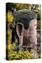 China 10MKm2 Collection - Giant Buddha of Leshan-Philippe Hugonnard-Stretched Canvas