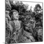 China 10MKm2 Collection - Giant Buddha of Leshan-Philippe Hugonnard-Mounted Photographic Print