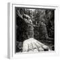 China 10MKm2 Collection - Giant Buddha of Leshan-Philippe Hugonnard-Framed Photographic Print