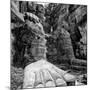 China 10MKm2 Collection - Giant Buddha of Leshan-Philippe Hugonnard-Mounted Photographic Print