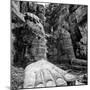 China 10MKm2 Collection - Giant Buddha of Leshan-Philippe Hugonnard-Mounted Photographic Print