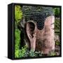 China 10MKm2 Collection - Giant Buddha of Leshan-Philippe Hugonnard-Framed Stretched Canvas