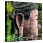 China 10MKm2 Collection - Giant Buddha of Leshan-Philippe Hugonnard-Stretched Canvas