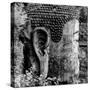 China 10MKm2 Collection - Giant Buddha of Leshan-Philippe Hugonnard-Stretched Canvas