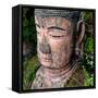 China 10MKm2 Collection - Giant Buddha of Leshan-Philippe Hugonnard-Framed Stretched Canvas