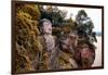 China 10MKm2 Collection - Giant Buddha of Leshan-Philippe Hugonnard-Framed Photographic Print