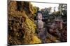 China 10MKm2 Collection - Giant Buddha of Leshan-Philippe Hugonnard-Mounted Photographic Print