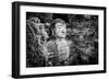 China 10MKm2 Collection - Giant Buddha of Leshan-Philippe Hugonnard-Framed Photographic Print