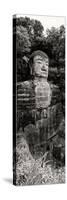 China 10MKm2 Collection - Giant Buddha of Leshan-Philippe Hugonnard-Stretched Canvas