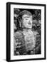 China 10MKm2 Collection - Giant Buddha of Leshan-Philippe Hugonnard-Framed Photographic Print