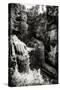 China 10MKm2 Collection - Giant Buddha of Leshan-Philippe Hugonnard-Stretched Canvas