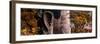 China 10MKm2 Collection - Giant Buddha of Leshan-Philippe Hugonnard-Framed Photographic Print