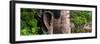 China 10MKm2 Collection - Giant Buddha of Leshan-Philippe Hugonnard-Framed Photographic Print