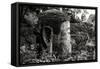 China 10MKm2 Collection - Giant Buddha of Leshan-Philippe Hugonnard-Framed Stretched Canvas