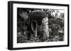 China 10MKm2 Collection - Giant Buddha of Leshan-Philippe Hugonnard-Framed Photographic Print