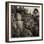 China 10MKm2 Collection - Giant Buddha of Leshan-Philippe Hugonnard-Framed Photographic Print