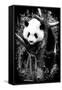 China 10MKm2 Collection - Giant Panda Baby-Philippe Hugonnard-Framed Stretched Canvas