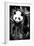 China 10MKm2 Collection - Giant Panda Baby-Philippe Hugonnard-Framed Photographic Print