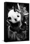 China 10MKm2 Collection - Giant Panda Baby-Philippe Hugonnard-Framed Stretched Canvas