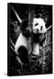 China 10MKm2 Collection - Giant Panda Baby-Philippe Hugonnard-Framed Stretched Canvas