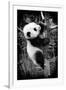 China 10MKm2 Collection - Giant Panda Baby-Philippe Hugonnard-Framed Photographic Print