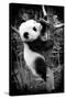 China 10MKm2 Collection - Giant Panda Baby-Philippe Hugonnard-Stretched Canvas