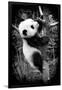 China 10MKm2 Collection - Giant Panda Baby-Philippe Hugonnard-Framed Photographic Print