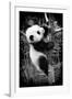 China 10MKm2 Collection - Giant Panda Baby-Philippe Hugonnard-Framed Photographic Print