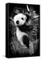 China 10MKm2 Collection - Giant Panda Baby-Philippe Hugonnard-Framed Stretched Canvas