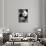 China 10MKm2 Collection - Giant Panda Baby-Philippe Hugonnard-Photographic Print displayed on a wall