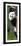 China 10MKm2 Collection - Giant Panda Baby-Philippe Hugonnard-Framed Photographic Print