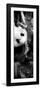 China 10MKm2 Collection - Giant Panda Baby-Philippe Hugonnard-Framed Photographic Print