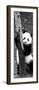 China 10MKm2 Collection - Giant Panda Baby-Philippe Hugonnard-Framed Photographic Print