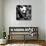 China 10MKm2 Collection - Giant Panda Baby-Philippe Hugonnard-Photographic Print displayed on a wall