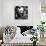 China 10MKm2 Collection - Giant Panda Baby-Philippe Hugonnard-Photographic Print displayed on a wall